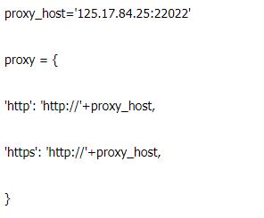 新手程序員使用HTTP代理IP進行程序設計時的一些建議