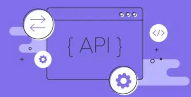 新手程序員使用HTTP代理IP進行程序設計時的一些建議